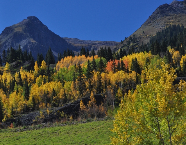 jeep tour to Brown Mountain